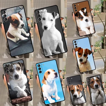 Jack Russell Terjer Koer Soft Case For Samsung Galaxy S20 FE S21 S22 S23 Ultra Lisa 20 S8 S9 S10 Lisa 10 Pluss Coque