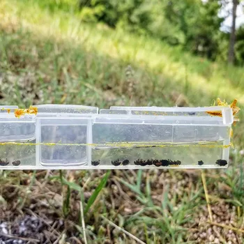 10tk Beetle Lõksu Plastikust Korduvkasutatavad Beetle Blaster Lõksu Valge Beetle Mesindus Asjade 18*3,5 cm, Pesa Putukate Lõksu